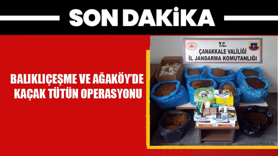 Biga Balıklıçeşme Ve Ağaköy’de Kaçak Tütün Operasyonu