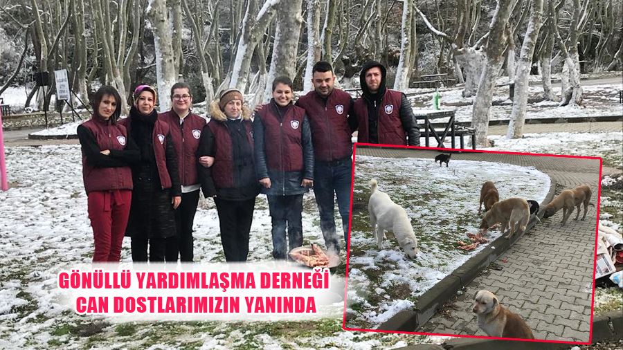 Biga Gönüllü Yardımlaşma Derneği Can Dostlarımızın Yanında