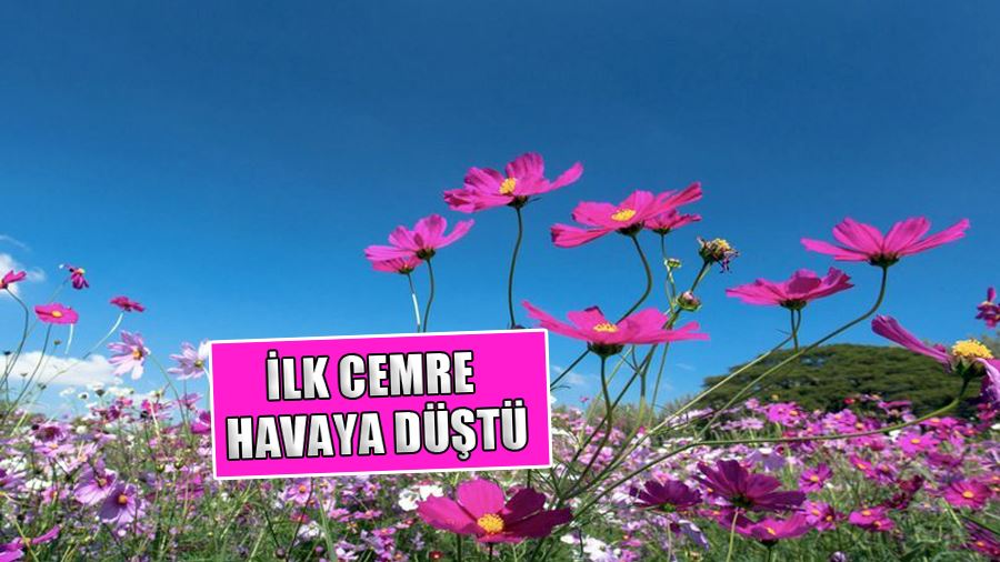 İlk Cemre Havaya Düştü