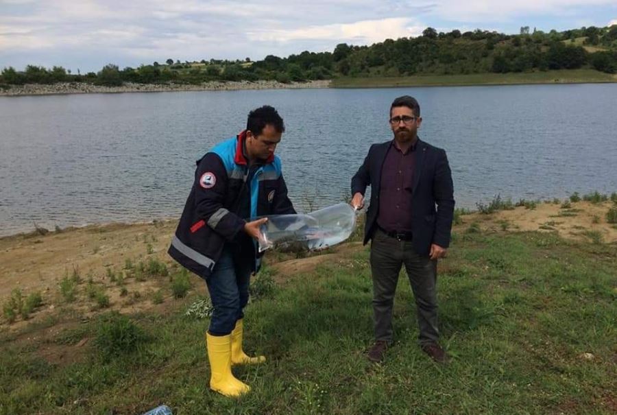 Gölete Sazan Yavruları Bırakıldı