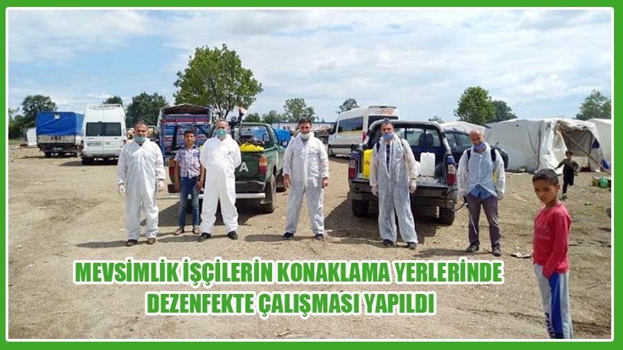 Mevsimlik İşçilerin Konaklama Yerlerinde Dezenfekte Çalışması Yapıldı