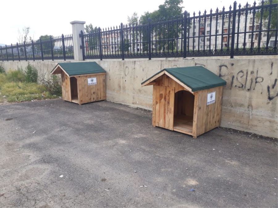 Biga Belediyesi Sokak Hayvanlarına Çatı Oluyor