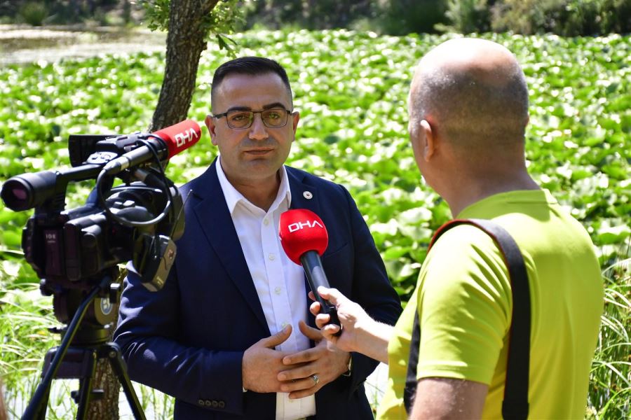 Güney Marmara Bölgesinde Sadece Biga'da ‘’Nilüfer Gölü’’