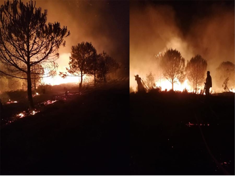 Karabiga’da Orman Yangını Dikkat Edelim Ciğerlerimiz Yandı