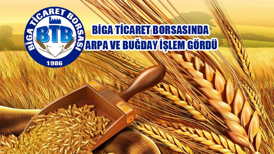 Biga Ticaret Borsasında Arpa Ve Buğday İşlem Gördü