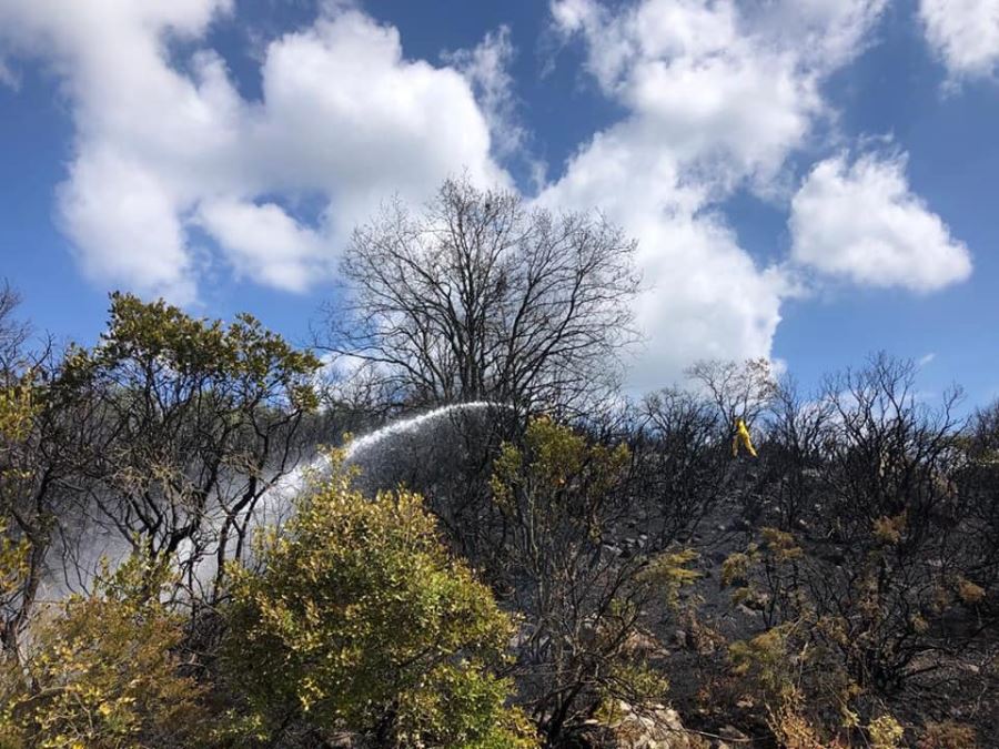 Biga Kaşıkçıoba Ve Kalafat Köyleri Arasında Orman Yangını Çıktı