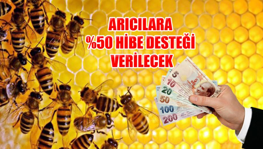 Arıcılara %50 Hibe Desteği Verilecek