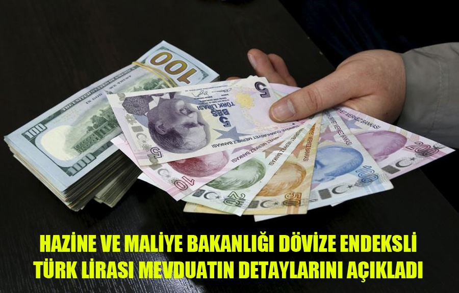 Hazine Ve Maliye Bakanlığı Dövize Endeksli Türk Lirası Mevduatın Detaylarını Açıkladı