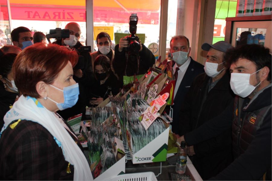 İYİ Parti Genel Başkanı Meral Akşener Esnafları Ziyaret Etti