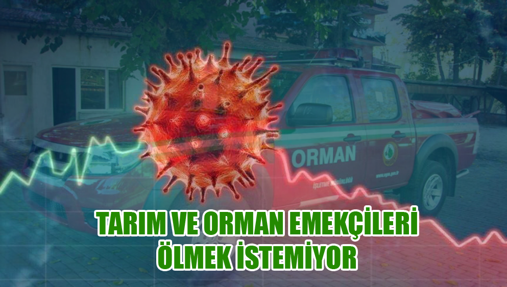 Tarım Orman İş Çanakkale İl Temsilciliği: Tarım Ve Orman Emekçileri Ölmek İstemiyor