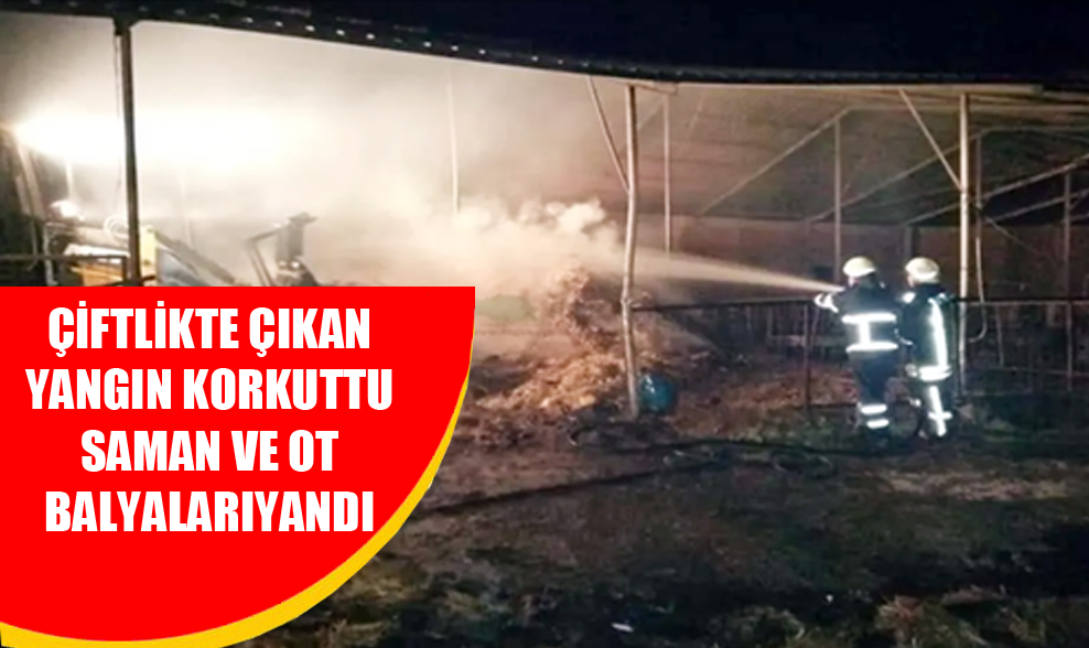 Dereköy’de Çiftlikte Çıkan Yangın Korkuttu