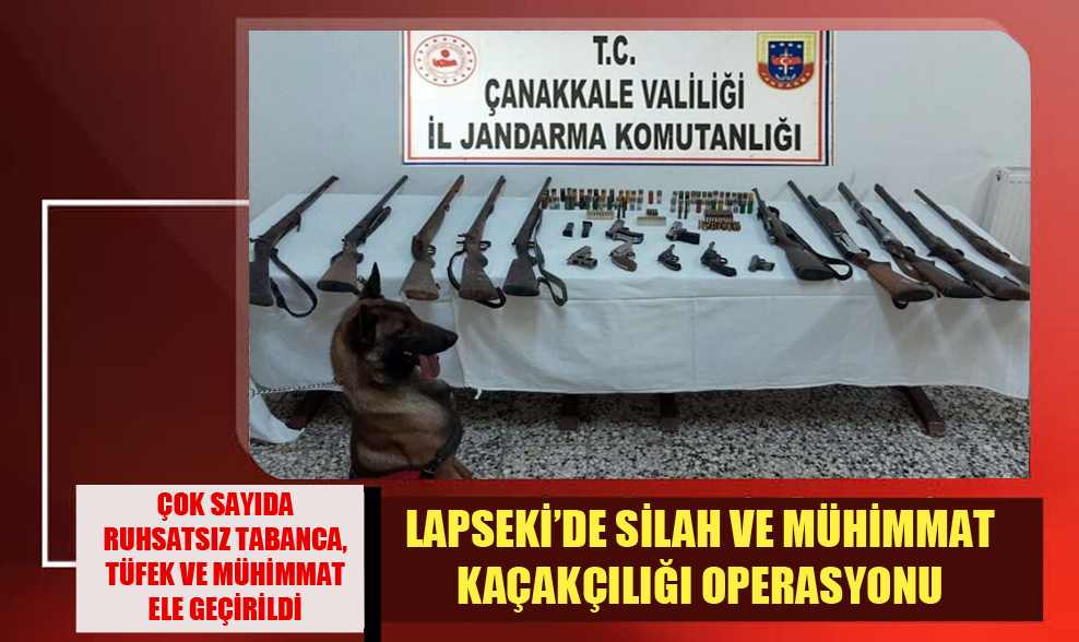 Lapseki’de Silah Ve Mühimmat Kaçakçılığı Operasyonu