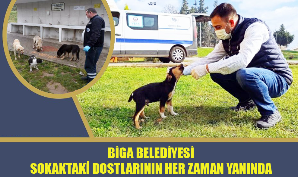 Biga Belediyesi Sokaktaki Dostlarının Her Zaman Yanında