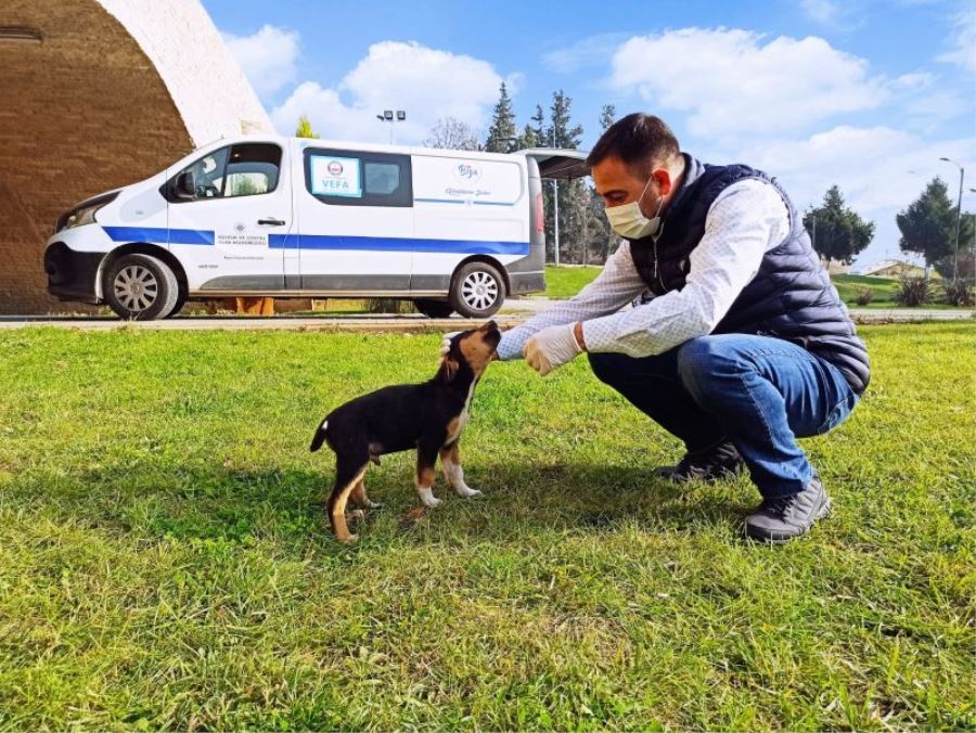 Biga Belediyesi Sokaktaki Dostlarının Her Zaman Yanında