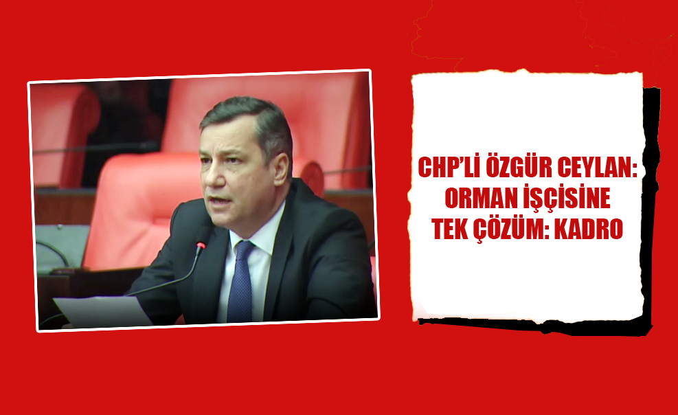 CHP’li Özgür Ceylan Orman İşçisine Tek Çözüm: Kadro